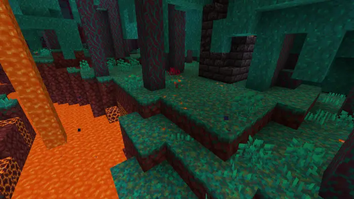 Lush nylium terrain with flowers and rocks