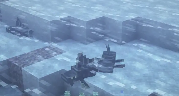 Blocky pleco fish swimming underwater