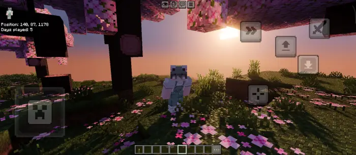 Character under cherry blossoms at sunset