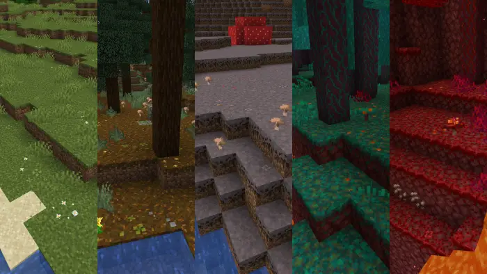 Grass, podzol, mycelium, and nylium variety