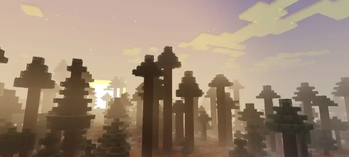 Soft sunlight filters through tall blocky trees