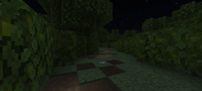 Maze-like garden path at night