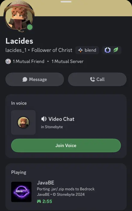 Discord profile showing JavaBE mod conversion tool.
