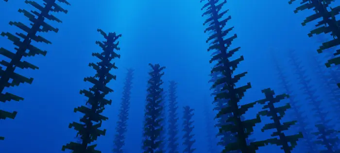 Softly lit underwater kelp forest scene