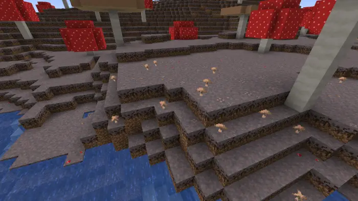 Small mushrooms on mycelium near water