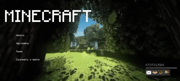 Sunlit forest scene with leafy shadows