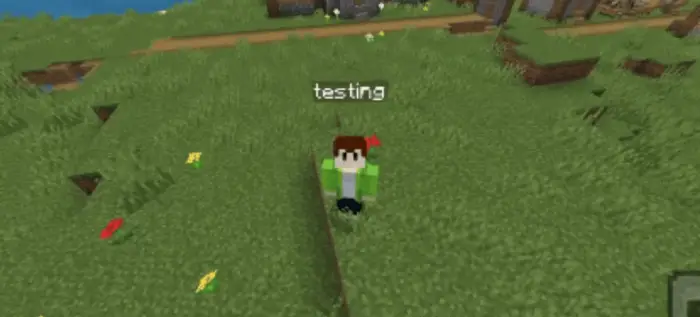 Player with a speech bubble saying testing