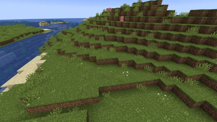 Grassy hillside with small flowers and clovers