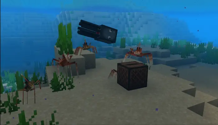 Arrow crabs and squid underwater near a box