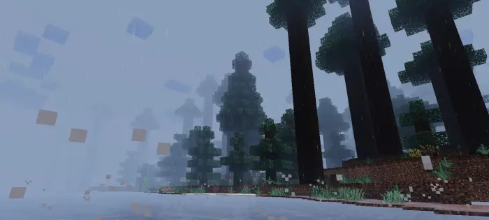 Softly lit forest scene with gentle fog