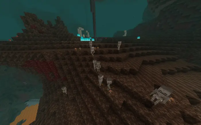 Multiple skeleton mobs spawn in a dark biome