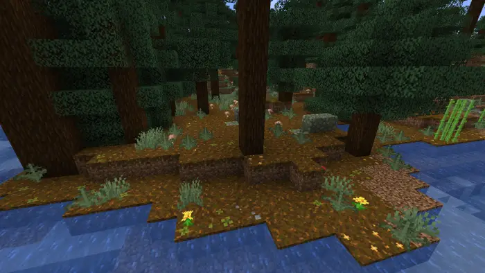 Forest floor with flowers, clovers, and rocks