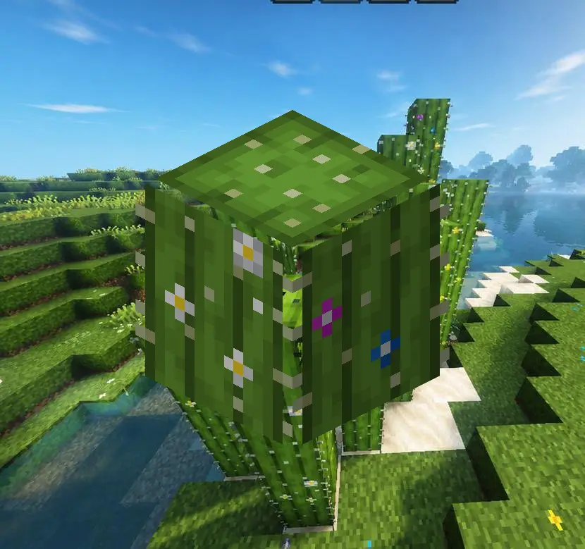 Thumbnail: Vanilla Floral Cactus