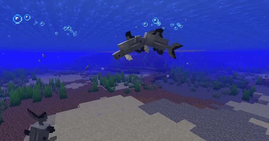 Thumbnail: Freshwater Shark
