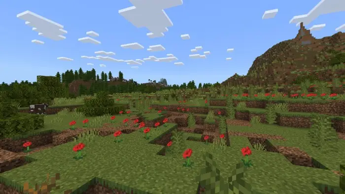 Grassy plain with red flowers and hills