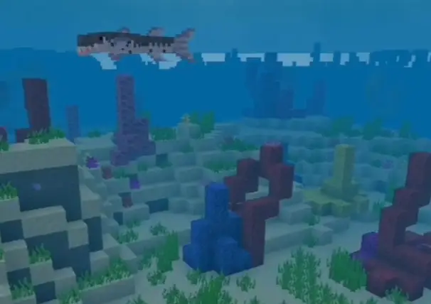 Blocky barracuda swims in colorful reef