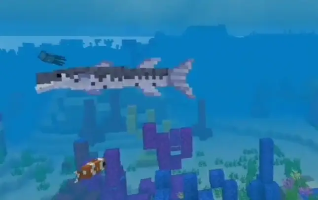 Blocky barracuda swims in a colorful reef.