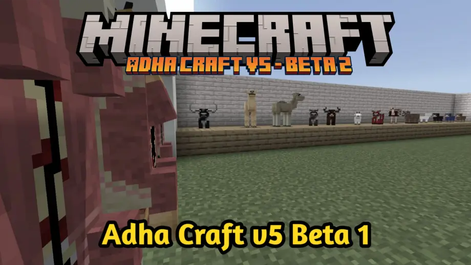 Thumbnail: Adha Craft | Public Beta Program v4