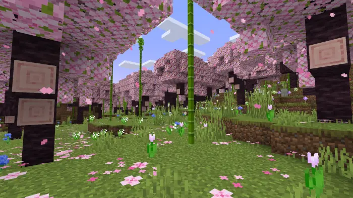 Cherry blossom forest with flowers and bamboo