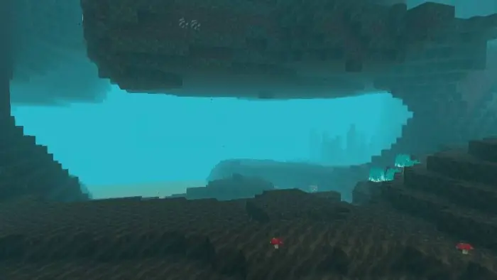 Underwater cave enhanced with blue shader