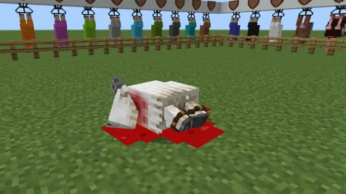 Slaughtered sheep on grass with blood pool
