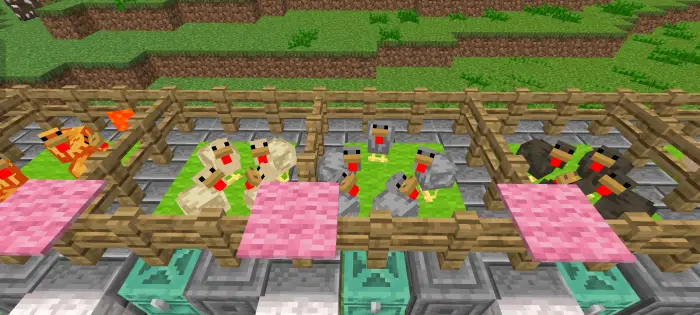 Chickens in pens with colorful drops