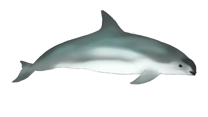 ALT Stylized dolphin swimming left