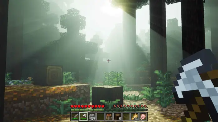 Sunbeams through lush forest with soft lighting