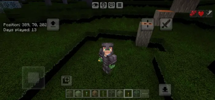 Player in armor holding glowing torch at night