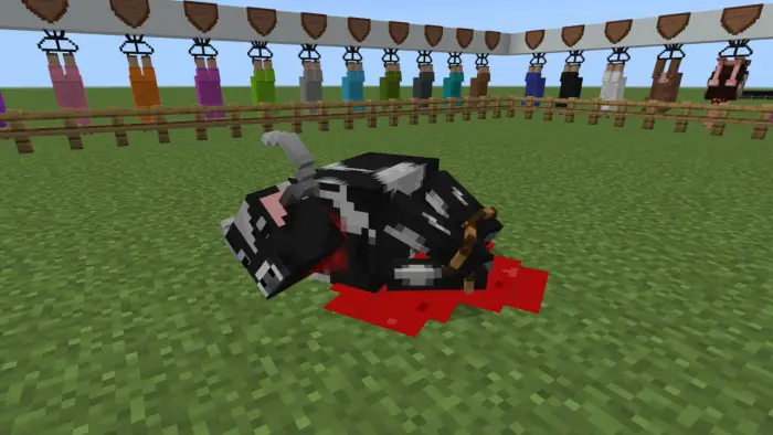 Slaughtered cow with blood on grass.