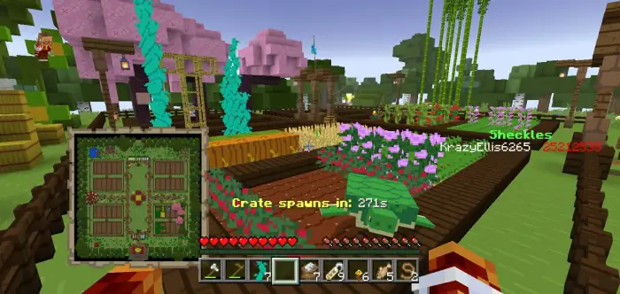 Player farming plot with crops and flowers