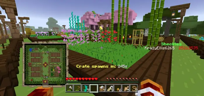 Player farming area with crops and flowers