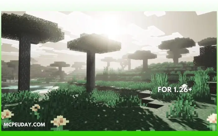 Cinematic fog and lighting in grassy forest