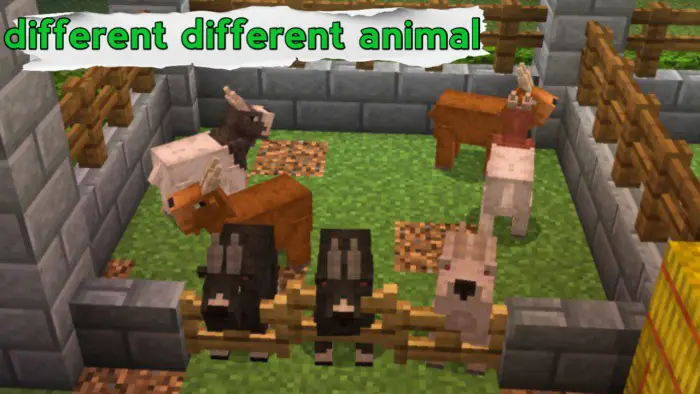 Various livestock animals in a fenced pen