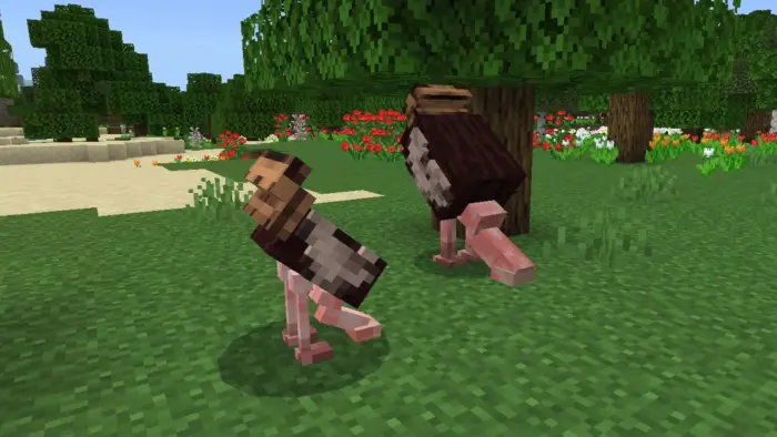 Blocky sheep grazing near trees and flowers