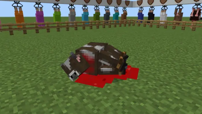 A cow lying on grass with a blood pool.