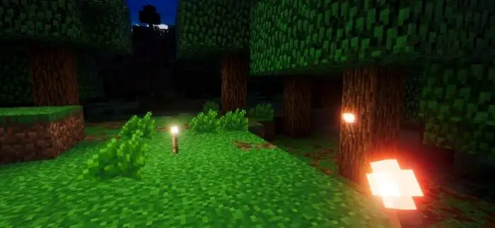 Glowing torches illuminate vibrant forest.