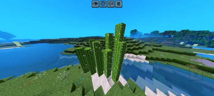 Blocky cactus with floral details by a river