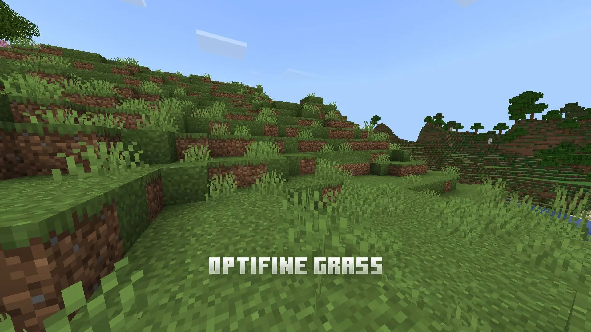 Blocky hillside with lush optifine grass