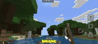 Player fishing in-game, WRONG text shown