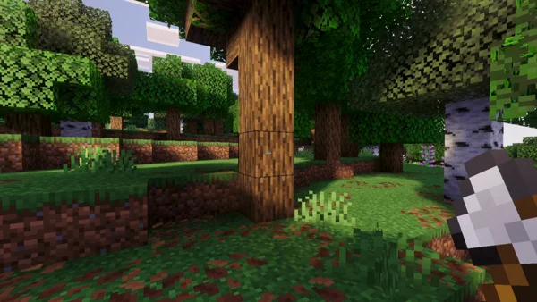 Player aiming axe at tree trunk in forest