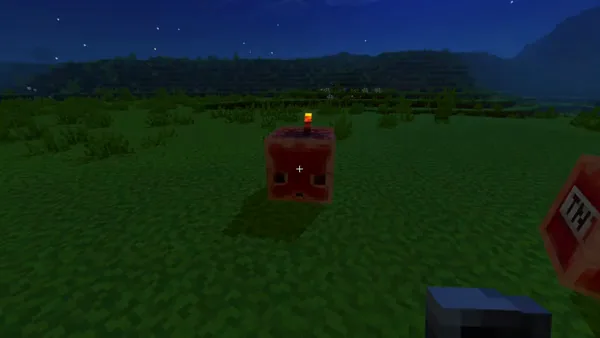 Glowing TNT block lighting up grassy field