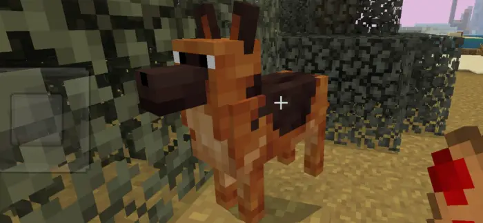 Blocky prehistoric canine in desert biome