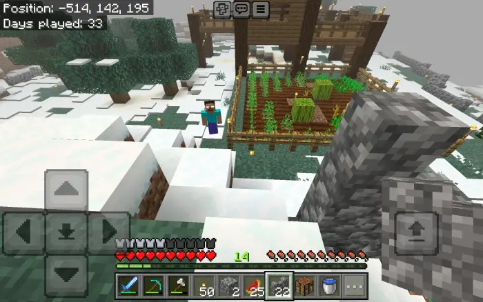 Player stands near snowy farm and Herobrine