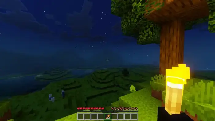 Player holds torch with dynamic lighting at night