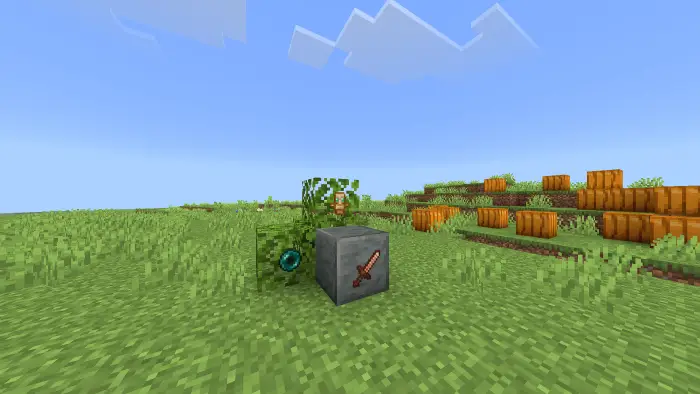 Invisible glowing item frames on grass block
