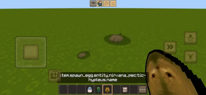Two flat, brown creatures on green grass.