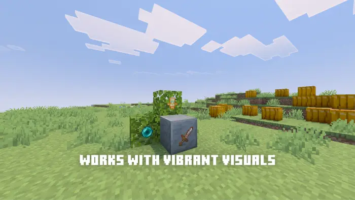 Invisible glowing item frames on grass field
