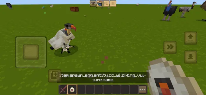 King vulture spawned on grassy field