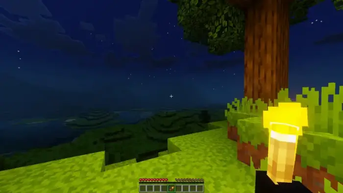 Player holding a glowing torch at night